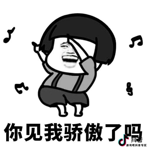 双是什么意思?