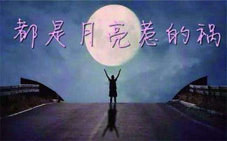 《月亮惹的祸》歌词