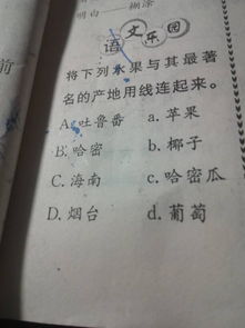 划组词有什么