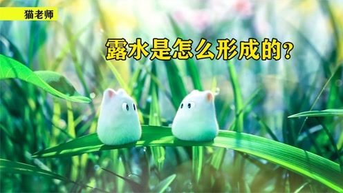 露水是怎么形成的