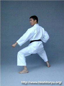 求马步的标准姿势?