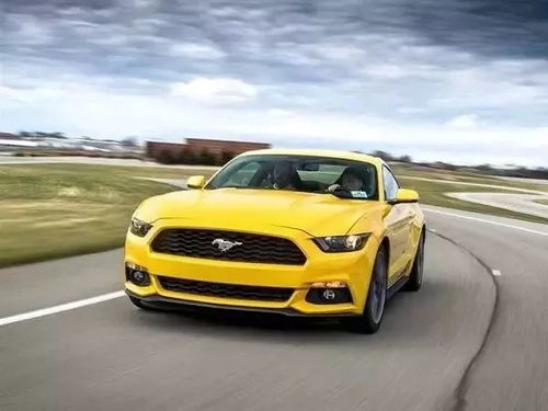 mustang是什么车