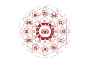 什么是“子丑寅卯”﹖