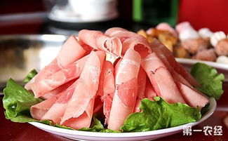 羊肉卷怎么做好吃又简单