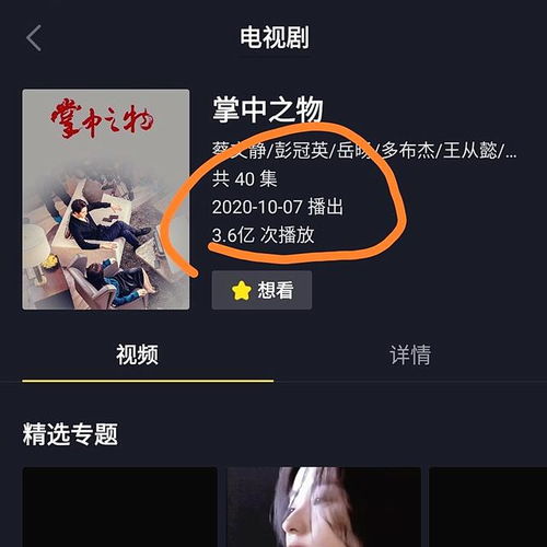 掌中之物电视剧播出时间 掌中之物剧情简介