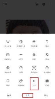 苹果手机怎么给照片添加文字