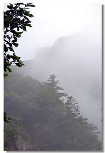 雾锁山头山锁雾,天连水尾水连天。是出自哪一首古诗?