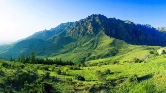 岳飞踏破贺兰山缺在哪里