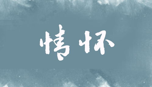 情怀是什么意思