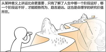 比肩和劫财是什么意思?