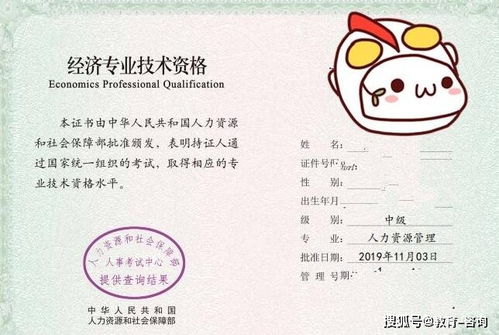 请问中级经济师 里面哪个专业考出来 容易挂靠?