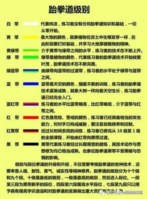 跆拳道的等级分类有哪些?