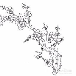 儿童简笔画之梅花树 梅花的简笔画画法步骤