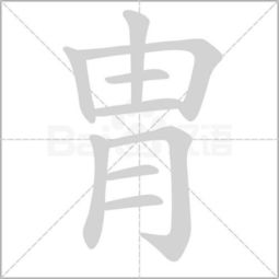 胄怎么读 胄念什么