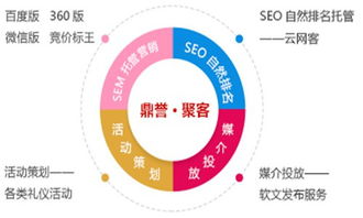 什么是网络运营和推广?