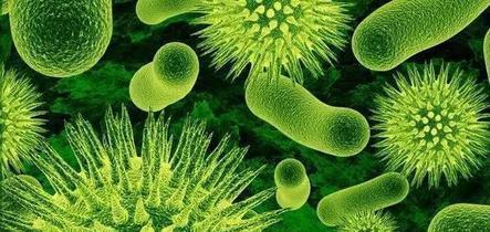 生物的起源