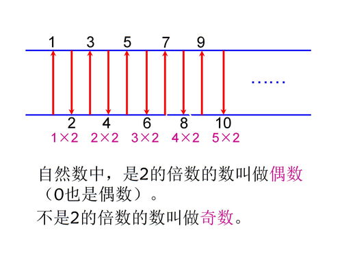 9的倍数有什么样的特征