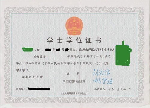 自考本科是什么意思啊?
