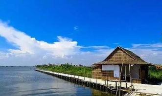 海鸥岛中国第几大岛