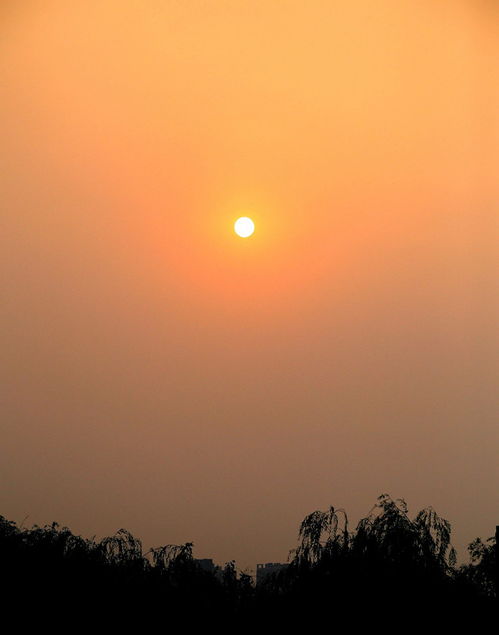 夕阳无限好下一句是什么?