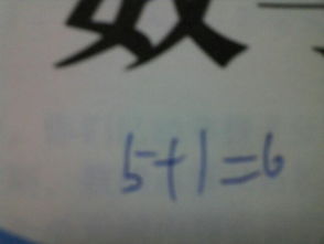 "送"字笔顺怎么写?