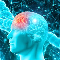 才智大脑是传销一种方式吗