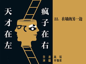 跪求《天才在左疯子在右 》电子版书籍百度网盘资源