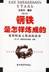 《钢铁是怎样炼成的》第四章读后感有哪些?