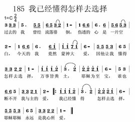 选择这首歌的歌词是什么?