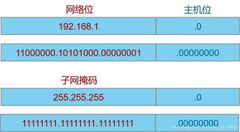 什么是A类地址,什么是B类地址?