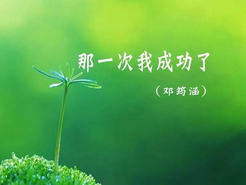 那一次我成功了作文