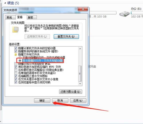 文件隐藏了怎么显示出来