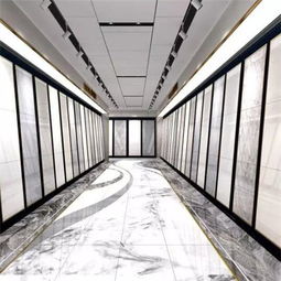 什么是样本空间和样本点概念