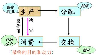 消费与生产的关系