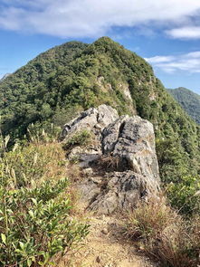 登排牙山要扫码吗
