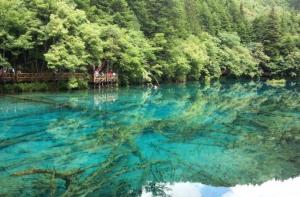 想从青岛出发,去成都重庆九寨沟自助旅游的实用攻略