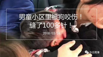 猜字谜: 朋友半边不见啦