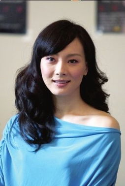陈数主演的电视剧 陈数简介