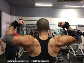 问一下有没有好一点的健美论坛