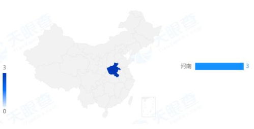 什么公司可以对项目进行投资?