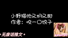 叔侄文
