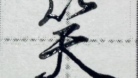 竹字头下面其念什么