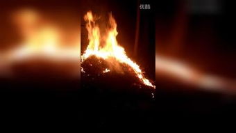 信《火烧的寂寞》歌词