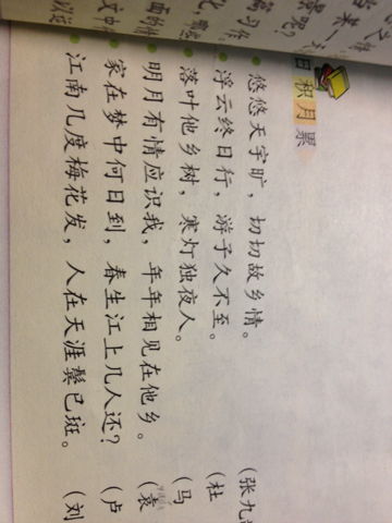 人在天崖bing 己斑的前一句诗是啥?