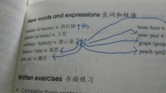 lettuce怎么读