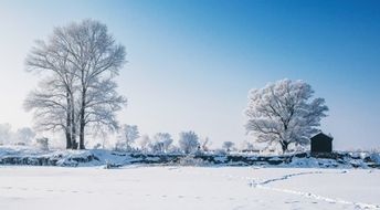 下雪打雷了意味着什么 下雪天打雷是什么征兆
