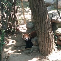 西安秦岭野生动物园简介 西安秦岭野生动物园介绍