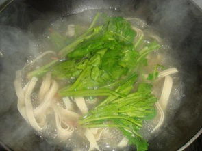 菠菜粉丝汤怎么做好喝