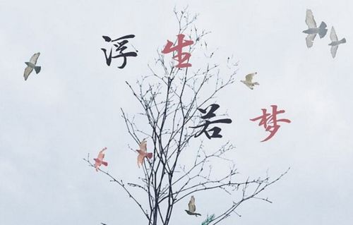 “浮生若梦”是什么意思?