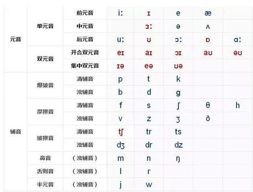 什么是开音节 开音节的解释